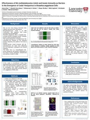 Poster conference.pdf